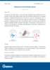 pdf_preview